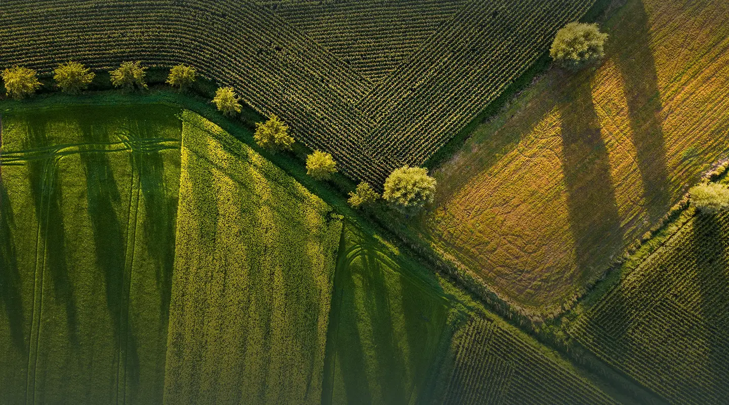 Tu aliado en insumos, agronegocios y logística global.