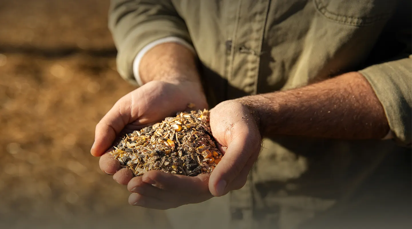 Acopio y procesamiento de granos
