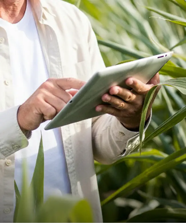 Asesoramiento agropecuario