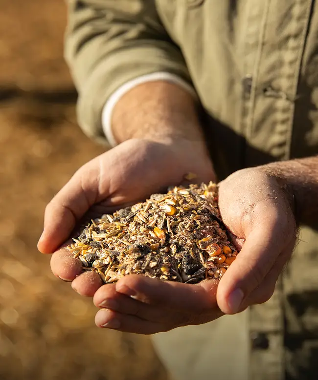 Acopio y procesamiento de granos